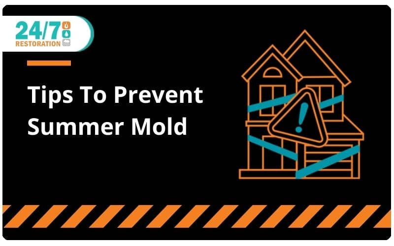 Tips To Prevent Summer Mold